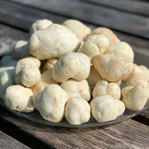 Honey Truffle