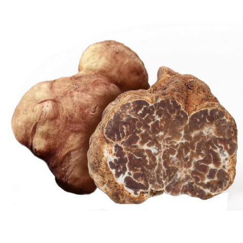 Spring white truffles -Truffle Borchii/Bianchetto